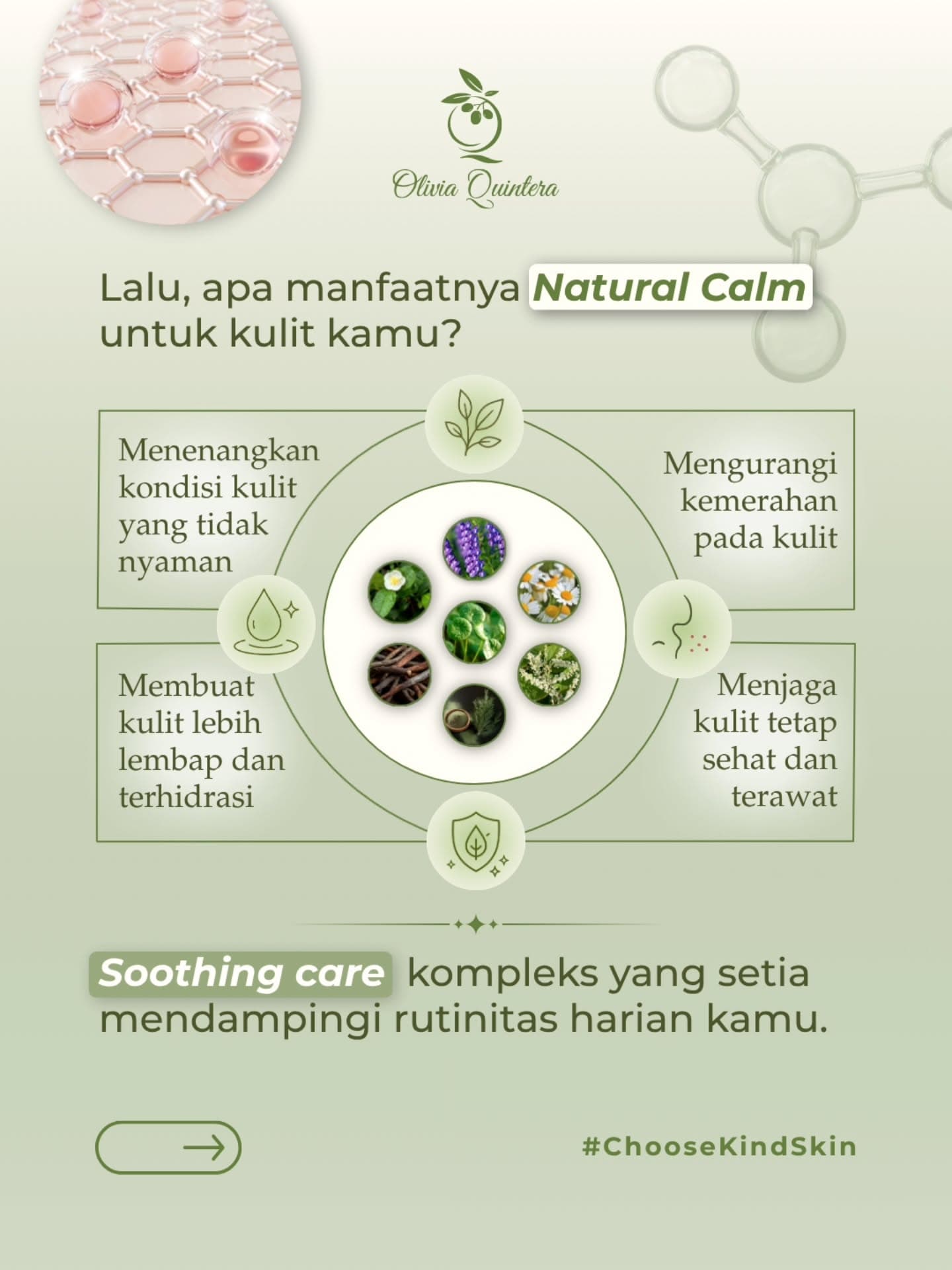 Shooting Bright Face Toner, infografis